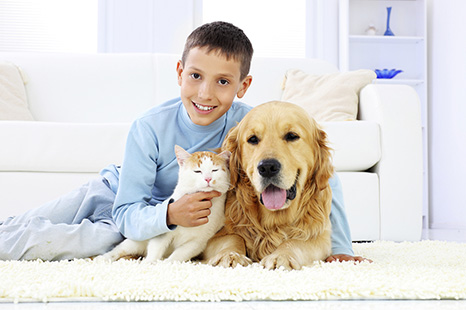 2.0c%20Dog%20Cat%20Boy%20Carpet_0.jpg