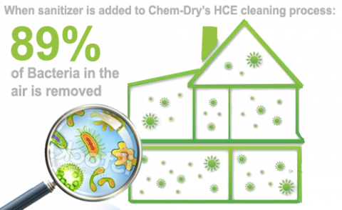 bacteria%20graphic%20final.png