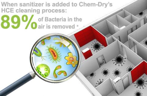 bacteria%20workplace%20graphic%20sized2_0.jpg