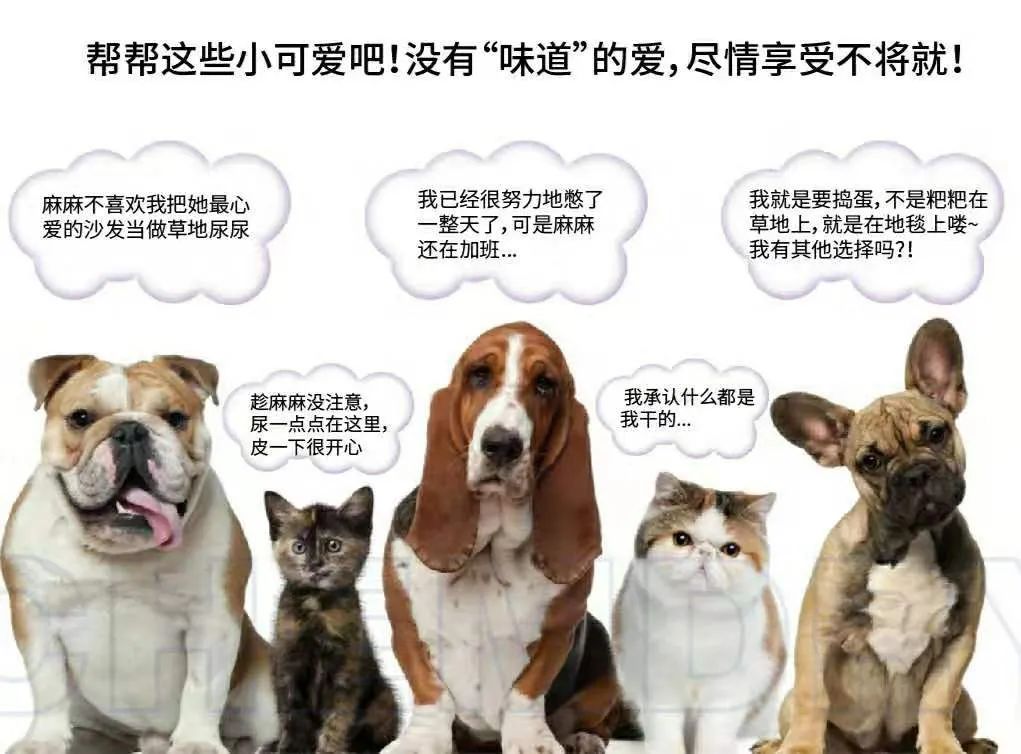 插图1.jpg